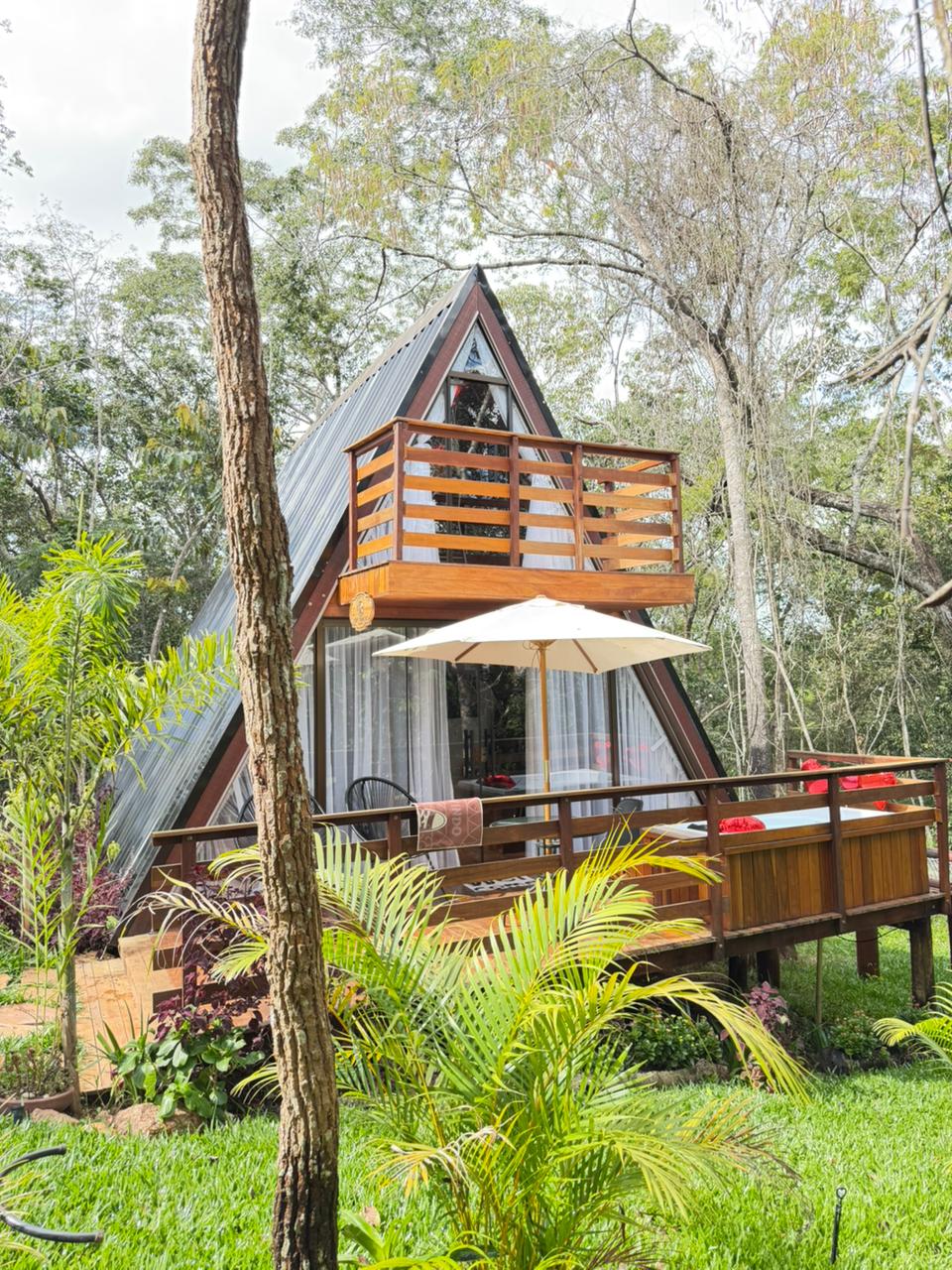 Lobo Black — Interior da cabana A-frame com mata nativa ao redor